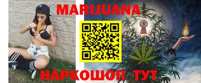 шишки Камышлов