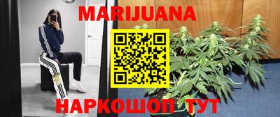 шишки Камышлов