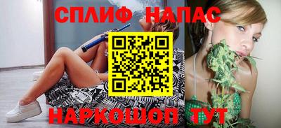 шишки Камышлов