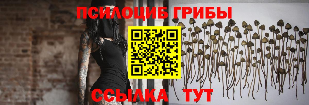 Галлюциногенные грибы мицелий  Вход с VPN  Галлюциногенные грибы прущие грибы  Мыски 