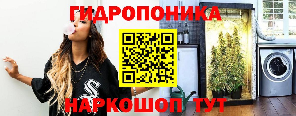 Конопля сатива  Канабис LSD WEED  Канабис тримм  Мыски  Вход с VPN 